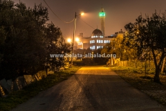Abu-Bakir-Mosque-night-2