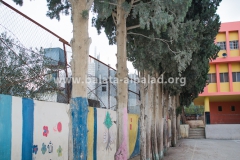 Bassam-School-trees