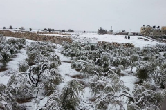 Snow-2013-Tell-Balata-1-Asem-Asmar