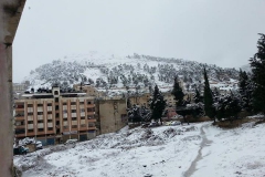 Snow-2013-Tell-Balata-3-Asem-Asmar