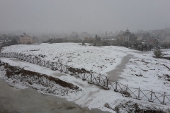 Snow-2013-Tell-Balata-3-Mohmmad-Elhasan-Dwaikat